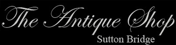 Website Logo