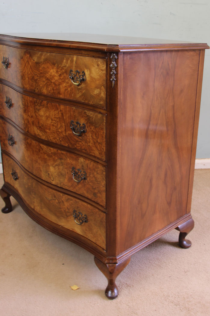 11367r7 Antique Vintage Burr walnut Chest drawers, Antique Burr Walnut Shaped Front Chest of Drawers