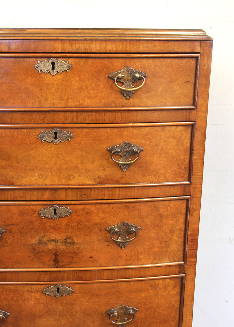 11580r10 Antique Burr Walnut Tall Slim Chest of Drawers,