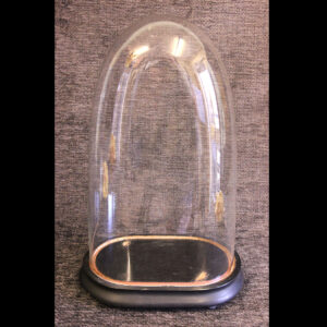 Antique Glass Dome Display Case